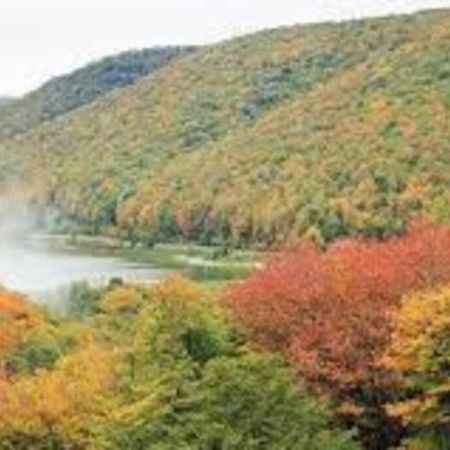Small Town Hideaway Wyalusing Exterior photo